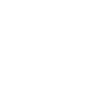 Firm Future Logo22
