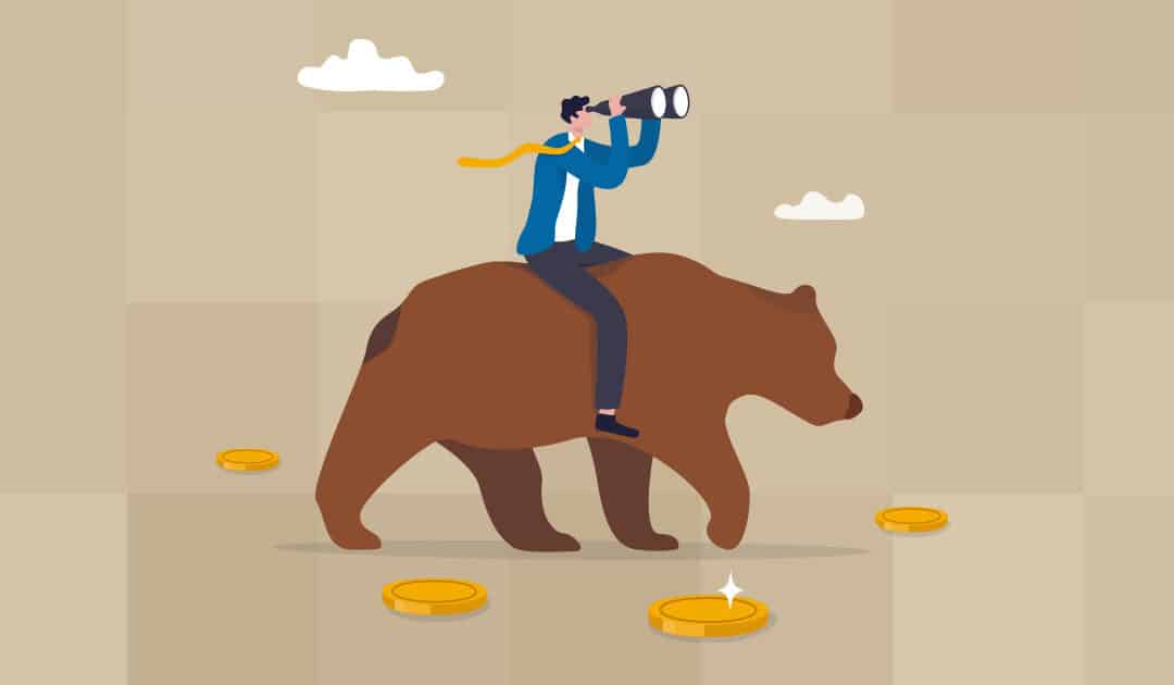 Bear Market Investing Strategy: What Stocks to Buy?